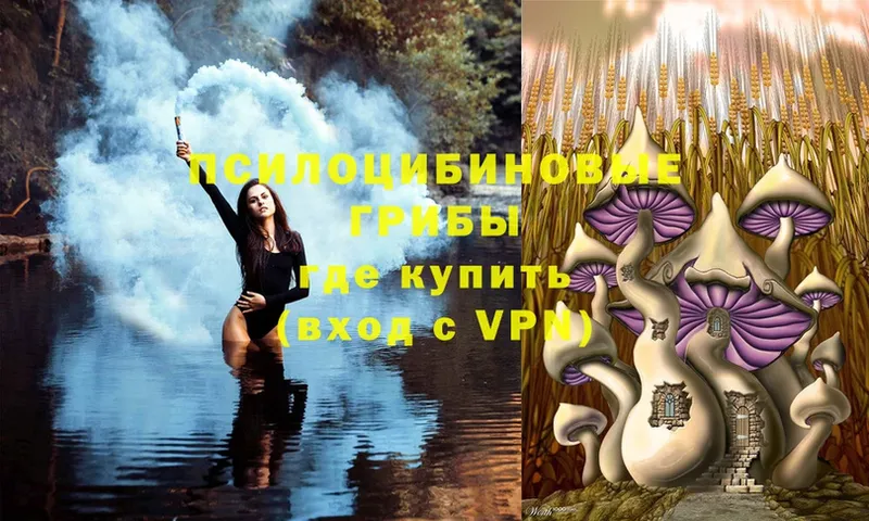 Галлюциногенные грибы Cubensis  Кинель 